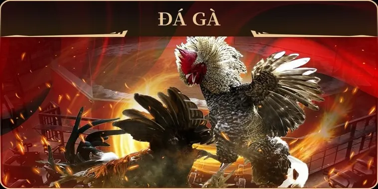 Hướng Dẫn Cách Chơi Đá Gà GA28 Tại MU88 Cho Người Mới