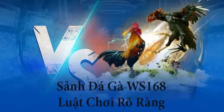 Chinh Phục Sảnh Cược Với Cách Chơi Đá Gà WS168 Tại MU88 1 Chinh Phục Sảnh Cược Với Cách Chơi Đá Gà WS168 Tại MU88