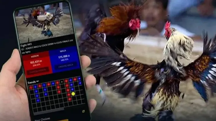 Đá Gà MU88 Kinh Điển Trăm Trận Trăm Thắng Cho Kê Thủ 1 Đá Gà MU88 Kinh Điển Trăm Trận Trăm Thắng Cho Kê Thủ